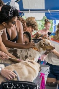 Insatiable – S01E05 – Bikinis and Bitches