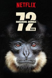72 Dangerous Animals – Asia – S01E02 – Jaws and Claws