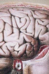 In Search of… – S01E07 – Mind Control