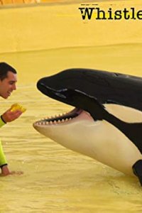 Whistleblower – S02E03 – SeaWorld: The Case Against Captivity