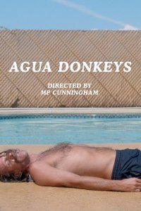 Agua Donkeys