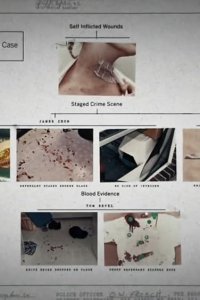 The Last Defense – S01E02 – Darlie Routier: The Trial