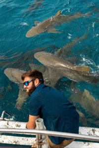 Extinct or Alive – S02E04 – The Caribbean Monk Seal
