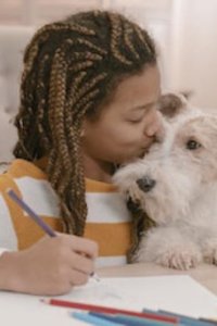 Explained – S03E04 – Dogs