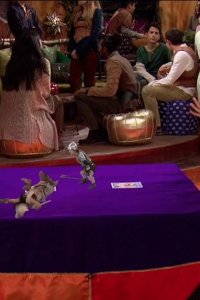 Knight Squad – S01E07 – A Knight’s Tail