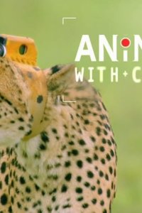 Animals with Cameras – S01E01 – Episode #1.1