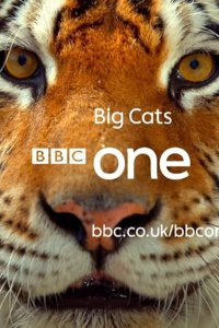 Big Cats – S01E01 – Episode #1.1