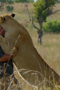 Big Cats – S01E03 – Episode #1.3