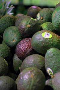 Rotten – S02E01 – The Avocado War