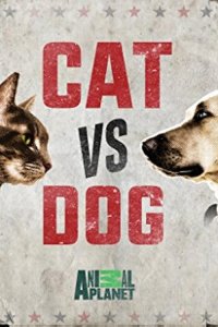 Cat Vs. Dog – S01E04 – Vampire Cats!