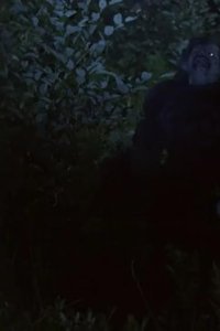 Terror in the Woods – S01E05 – Werewolf/Demon in the Woods
