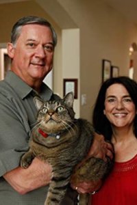 My Big Fat Pet Makeover – S01E03 – Flabby Tabby and Chunky Chihuahua