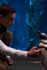 Atypical – S04E02 – Master of Penguins