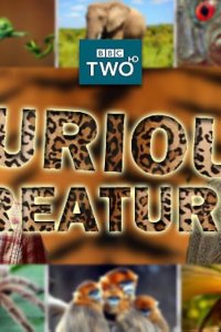 Curious Creatures – S02E10 – Episode #2.10