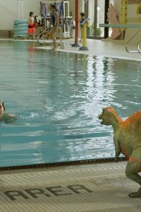 Dino Dana – S01E02 – Dino Divers – A Game of Microraptor and Mouse