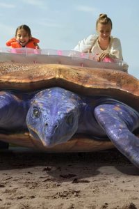 Dino Dana – S01E08 – Fossil Finders – Dino Rescue Train
