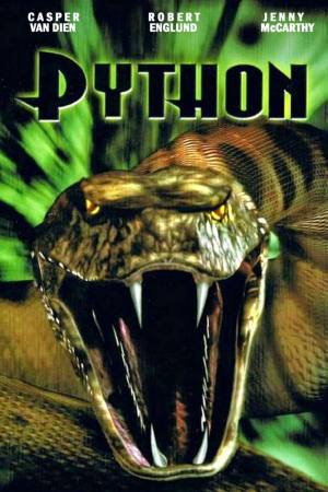 Python