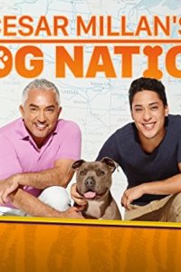 Cesar Millan’s Dog Nation – S01E02 – Borderline K9s