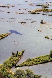 Abandoned Engineering – S01E04 – Ghost Ships