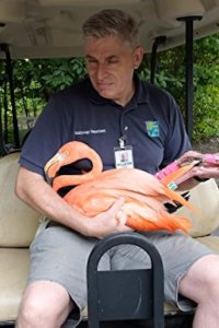 The Zoo – S01E04 – Moving Day