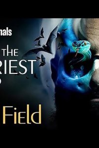Mind Field – S04E01 – What Is The Scariest Thing?