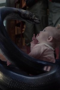 A Series of Unfortunate Events – S01E04 – The Reptile Room: Part Two
