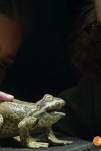 The Worst Witch – S01E05 – Pond Life