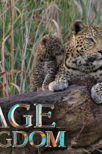 Savage Kingdom – S01E01 – Leopard’s Rock