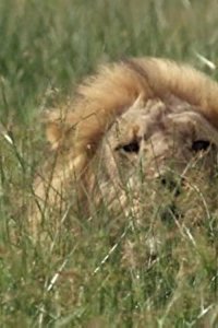 Savage Kingdom – S01E03 – Queen of the North