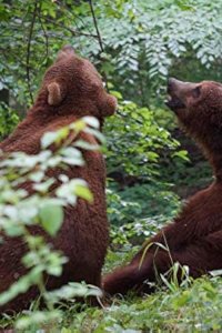 Project Grizzly – S01E06 – Letting Go