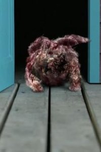 Channel Zero – S04E05 – You Belong to Me
