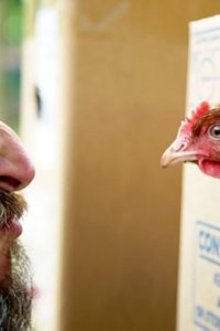 Hairy Bikers Chicken and Egg – S01E01 – UK