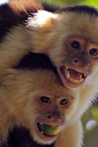 Ingenious Animals – S01E02 – Relationships