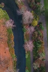 The Real Housewives of Auckland – S01E08 – You Drive Me Crazy