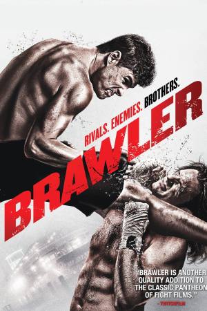 Brawler