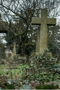 It Takes a Killer – S2016E15 – The Vampire Teens