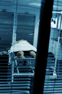 It Takes a Killer – S2016E44 – Seduced to Death