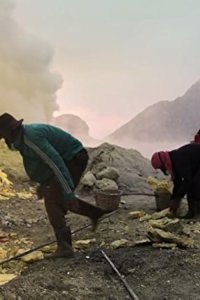 Forces of Nature with Brian Cox – S01E03 – The Moth and the Flame