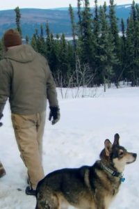 Homestead Rescue – S01E02 – Trust or Die