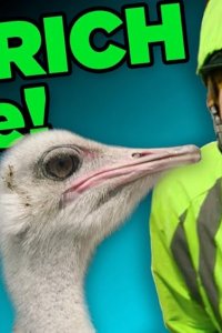MatPat’s Game Lab – S01E06 – Ostrich Jockeys?! (Final Fantasy XV)