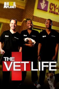 The Vet Life – S01E06 – Hope for Hoppy