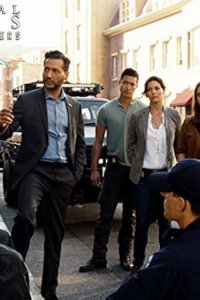 Criminal Minds: Beyond Borders – S01E09 – The Matchmaker