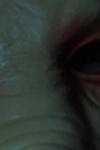 Slasher – S01E08 – Soon Your Own Eyes Will See