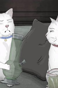 Animals. – S01E03 – Cats