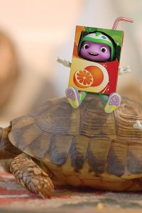 Floogals – S01E02 – Project: Tortoise