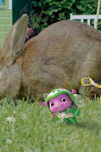 Floogals – S01E33 – Project: Rabbit