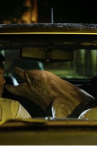 No Activity – S01E01 – The Dolphin
