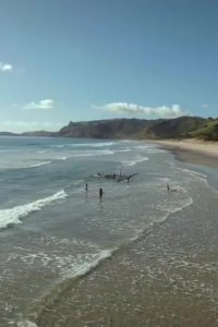 Grand Designs New Zealand – S01E03 – Pakiri: Steel House