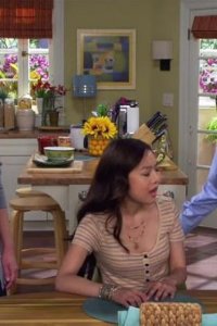 Dr. Ken – S01E08 – Thanksgiving Culture Clash