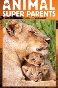Animal Super Parents – S01E03 – Lending a Hand